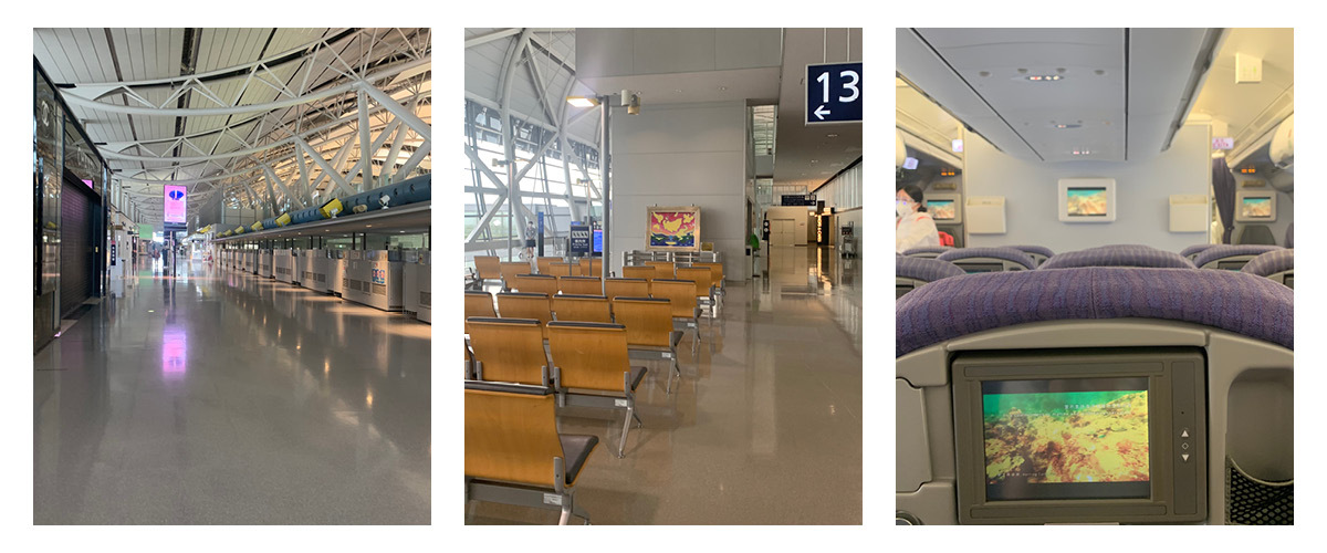 空港内、機内の状況